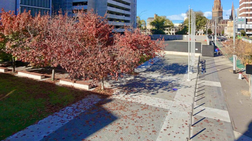 A modern steel bench sits beside a two-toned stone paver path from Eigen Stones, where greenery grows between the paving and a textured wall at the Victorian Women's Centre.