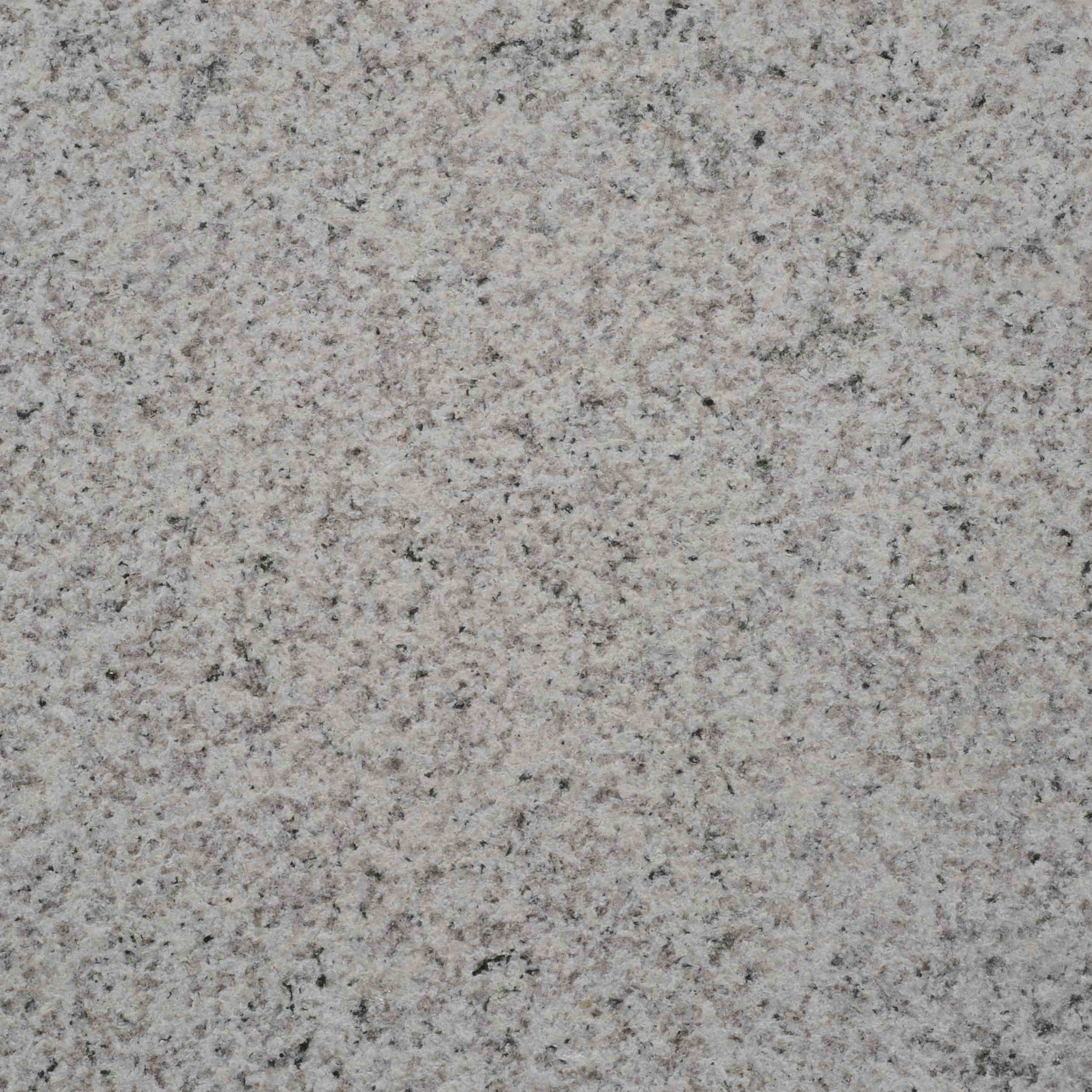 Feline Bush Hammered